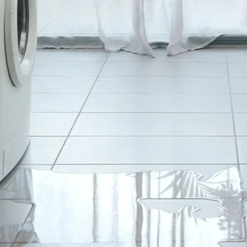 Appliance Leak Cleanup in Minier, IL
