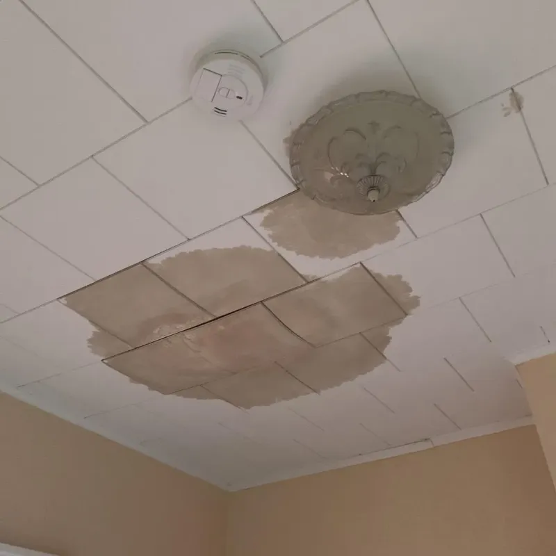 Ceiling Water Damage Repair in Minier, IL