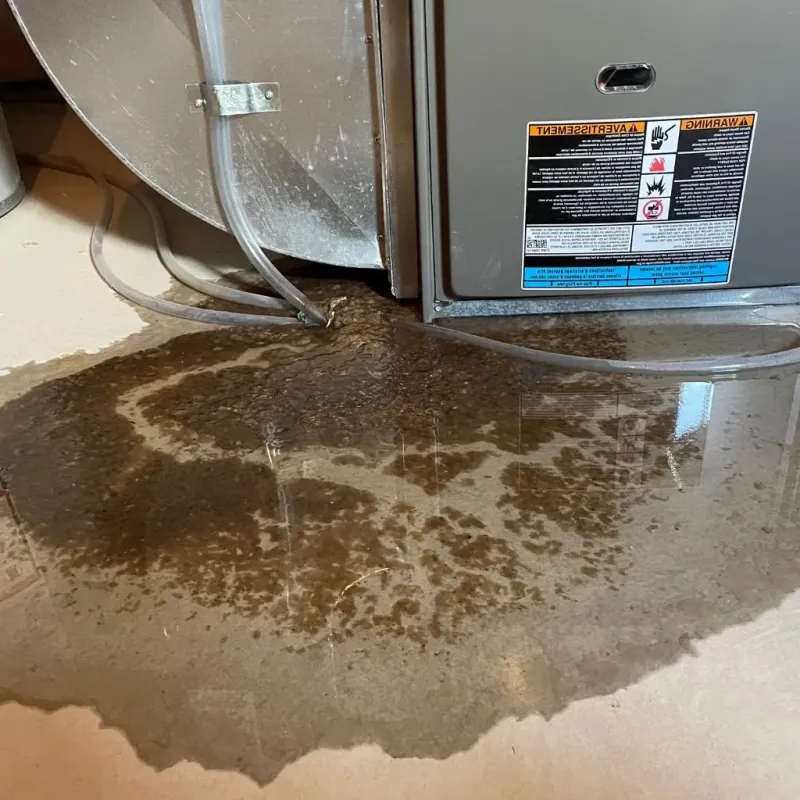 Pipe Burst and Leak Restoration in Minier, IL