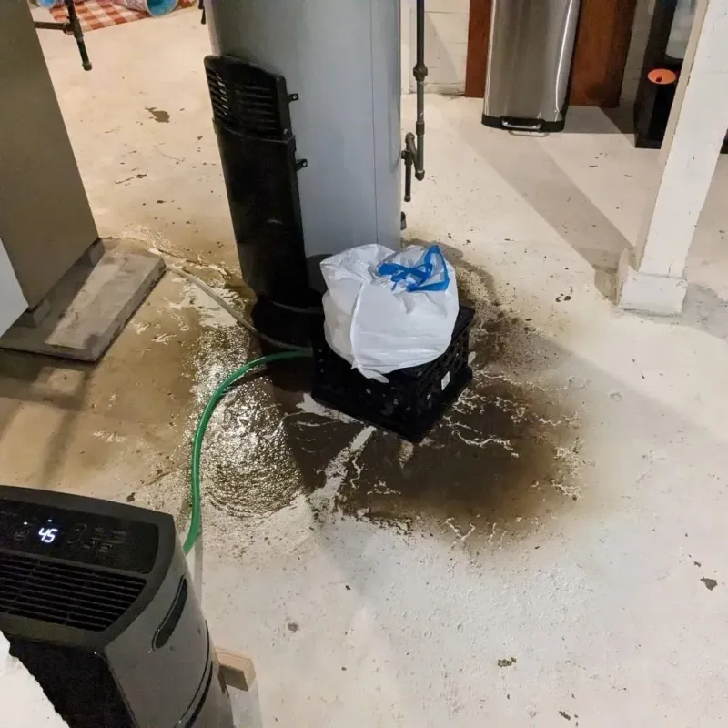 Sewage Backup Cleanup Service in Minier, IL